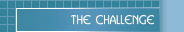 The Challenge